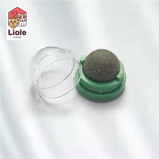 Cỏ Catnip Cho Mèo Thư Giãn