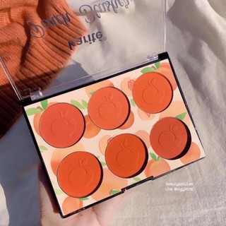 Má hồng 6 ô Karite Peach Blusher MH06
