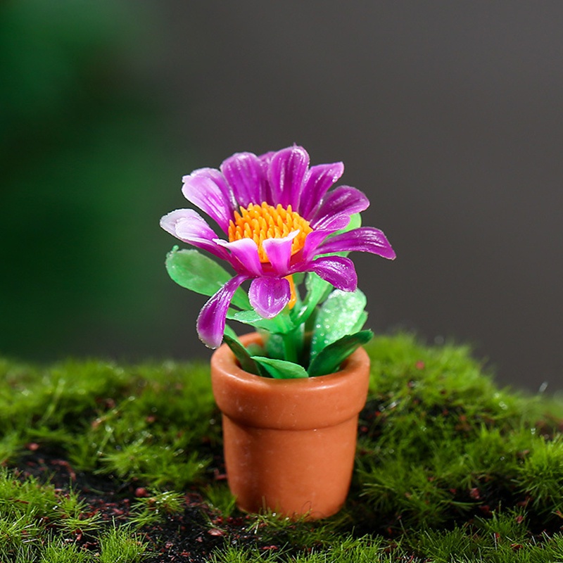 1 Mô Hình Cây Bonsai Bằng Nhựa Resin Mini Trang Trí Tiểu Cảnh/Nhà Búp Bê