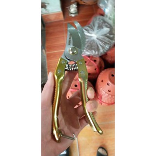 Kìm cắt tỉa cành cây loại đẹp