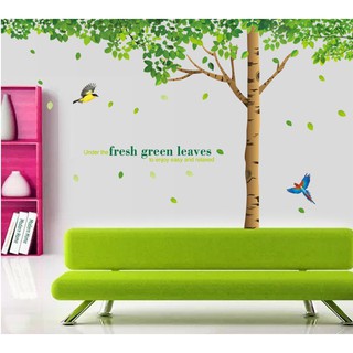 Decal dán tường Cây sồi cổ đại