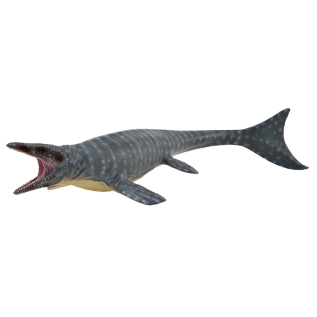 Mô hình động vật: Khủng long Mosasaurus