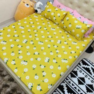 Bộ ga và 2 vỏ gối cotton poly
