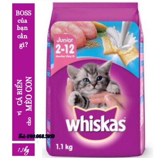 Thức ăn cho mèo con Whiskas Junior 1.1kg