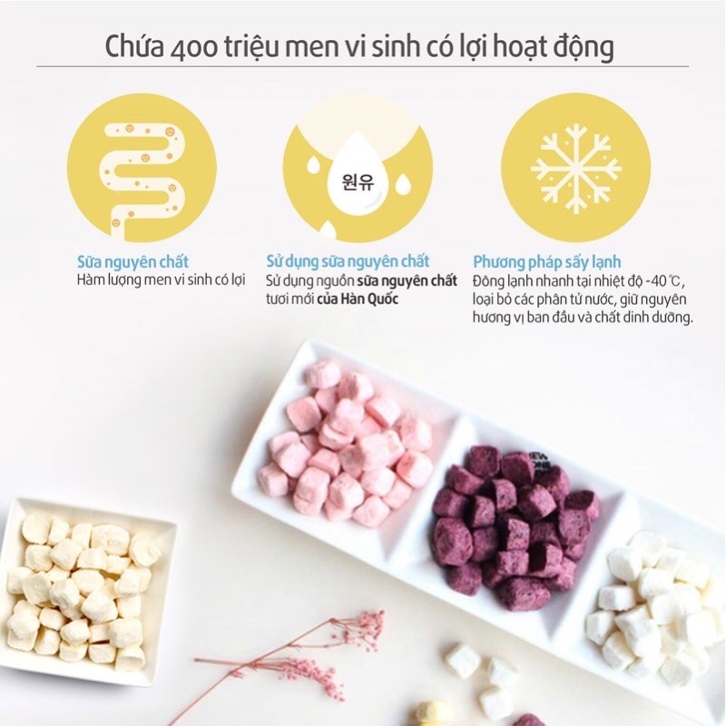 Sữa chua khô cho bé hoa quả phô mai Bebedang / Samto sấy lạnh Hàn Quốc ăn dặm 6m+