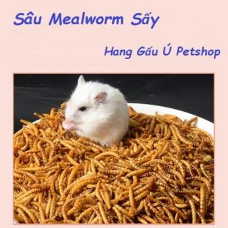 Sâu Mealworm sấy cho hamster- 100gram