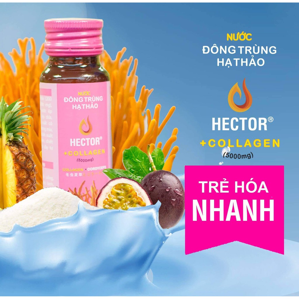 Nước Đông Trùng Hạ Thảo Hector Collagen ✅ 1 hộp 10 chai - Mỗi chai 50ml ✅ Cam kết sản phẩm chính hãng