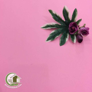 Phông nền giấy dán tường màu hồng nhám - [ 50cm x khổ 1,2m ] - thảm chụp hình ảnh sản phẩm