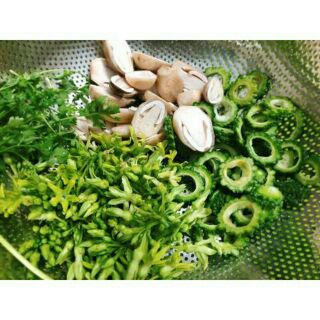 Cây thiên lý siêu bông