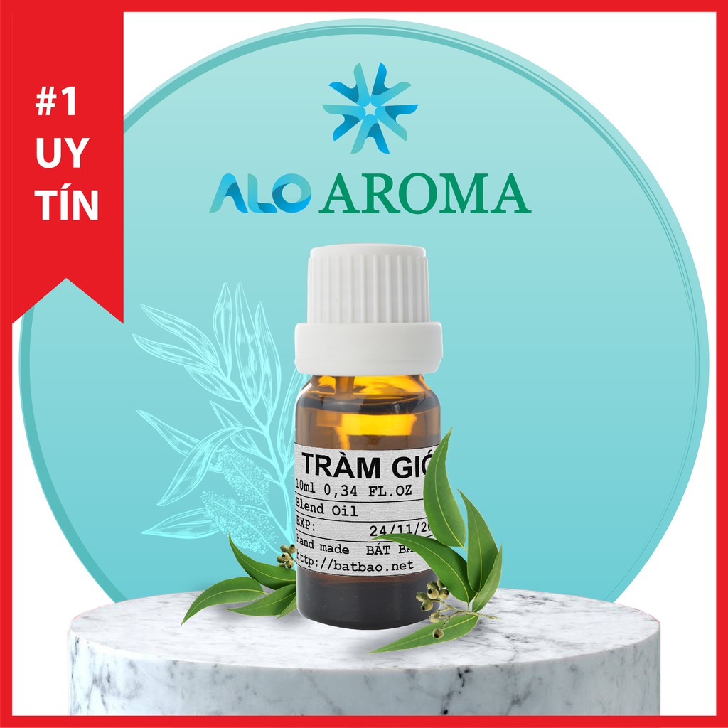 Tinh Dầu Tràm Gió Thiên Nhiên giải cảm, làm đẹp da, đuổi muỗi, chống côn trùng Cajeput Essential Oil AloAroma