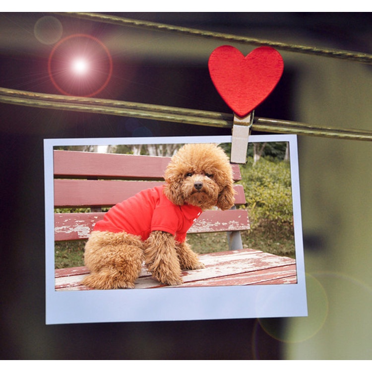 Áo Thun Cổ Bẻ Xinh Xắn Cho Thú Cưng