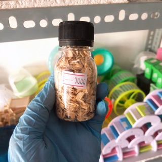 Yến mạch cho Hamster