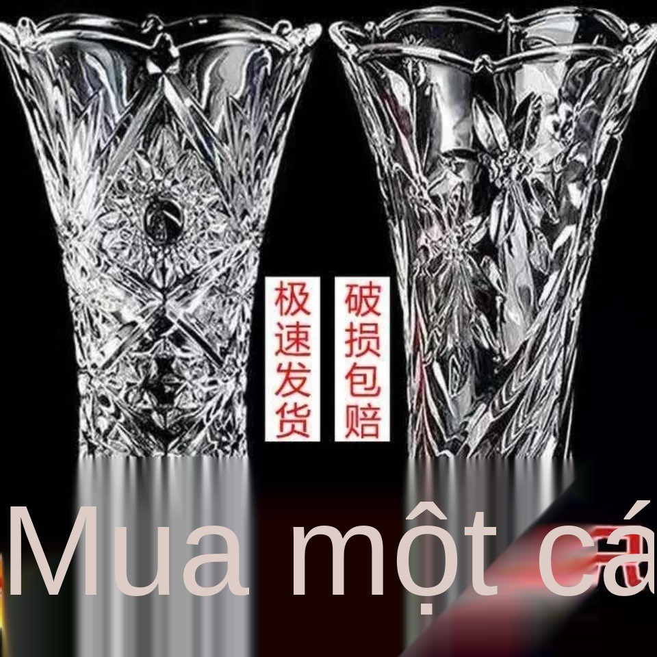 ☌Bình thủy tinh dày dặn, cắm hoa phòng khách, bình hoa trúc phú quý thủy canh, bình hoa to trong suốt phong cách Châu Âu