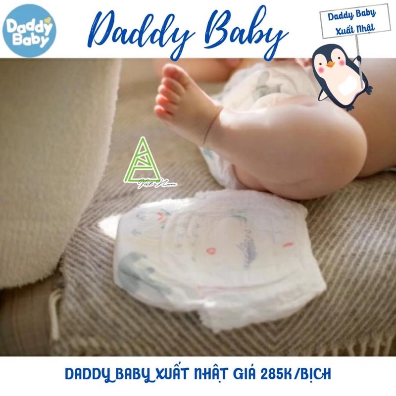 Bỉm thử quần Daddy Baby chim cánh cụt xuất Nhật Bản siêu xịn M1/L1/XL1/XXL1