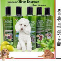 Sữa tắm cho chó mèo Olive Essence - 450ml/chai ,khử mùi,diệt khuẩn,diệt ve giận,làm đẹp chống rụng lông