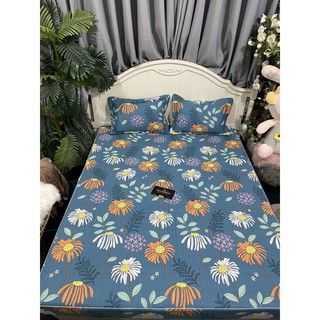 Combo 2 bộ ga gối chun trần 1m8x2m