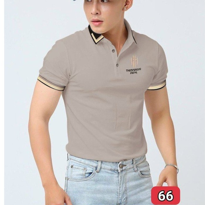 Áo thun nam tay ngắn có cổ- áo phông nam cổ bẻ chất coton co giãn nhiều mẫu PN ms50