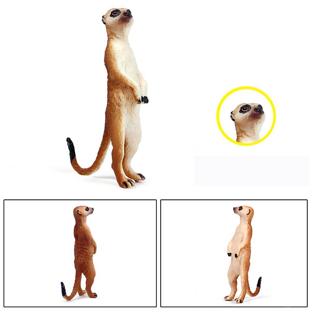 Mô Hình Động Vật Hoang Dã Sống Động Như Thật Dùng Giáo Dục Sớm Cho Bé