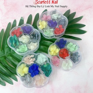 Hoa khô lụa nail - hoa khô ẩn nail trang trí móng tay móng chân siêu đẹp