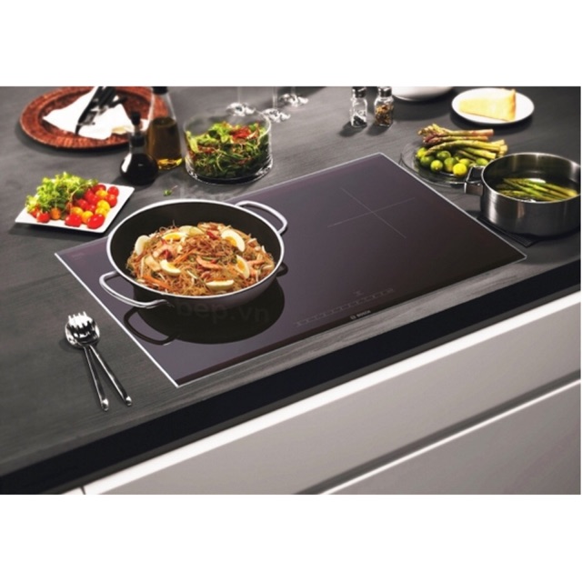 Bếp từ Steba IK300
