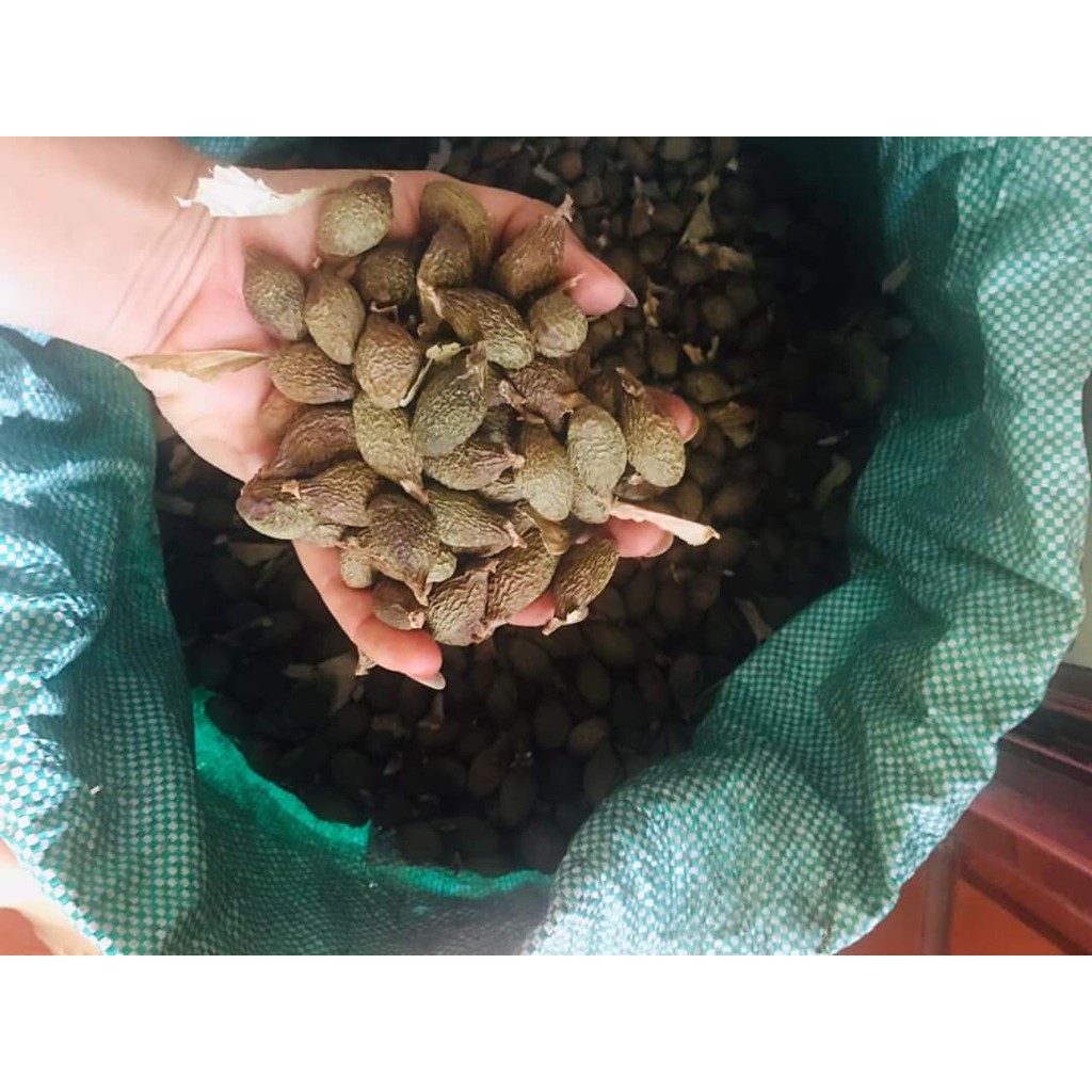 Hạt ươi xô (hột đười ươi) kon tum 1kg hút chân không