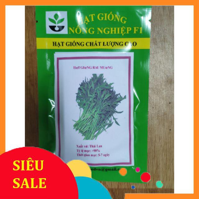30gr hạt giống rau muống TẾT KHUYẾN MẠI