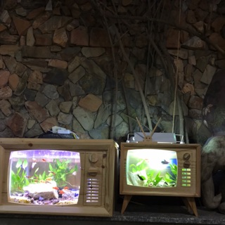 Bể cá gỗ tivi mini bao gồm phụ kiện