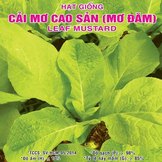 Hạt giống Cải Mơ (Đăm) (20g)