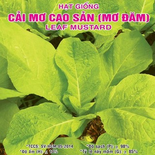 Hạt giống Cải Mơ