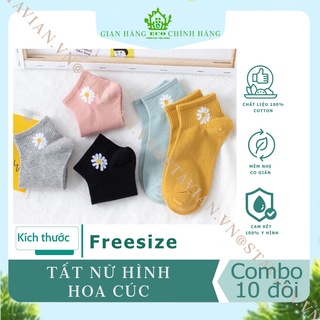 ComBo 10 Đôi Tất Nữ Xinh Xắn In Hình HOA CÚC/HÌNH GẤU-Có Túi Đựng Đi Kèm