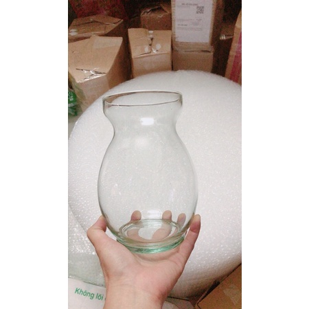 Chậu Thuỷ Tinh Trồng Thuỷ Sinh