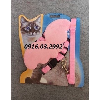 Dây dắt chó mèo