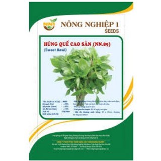 HẠT GIỐNG HÚNG QUẾ CAO SẢN (húng chó)