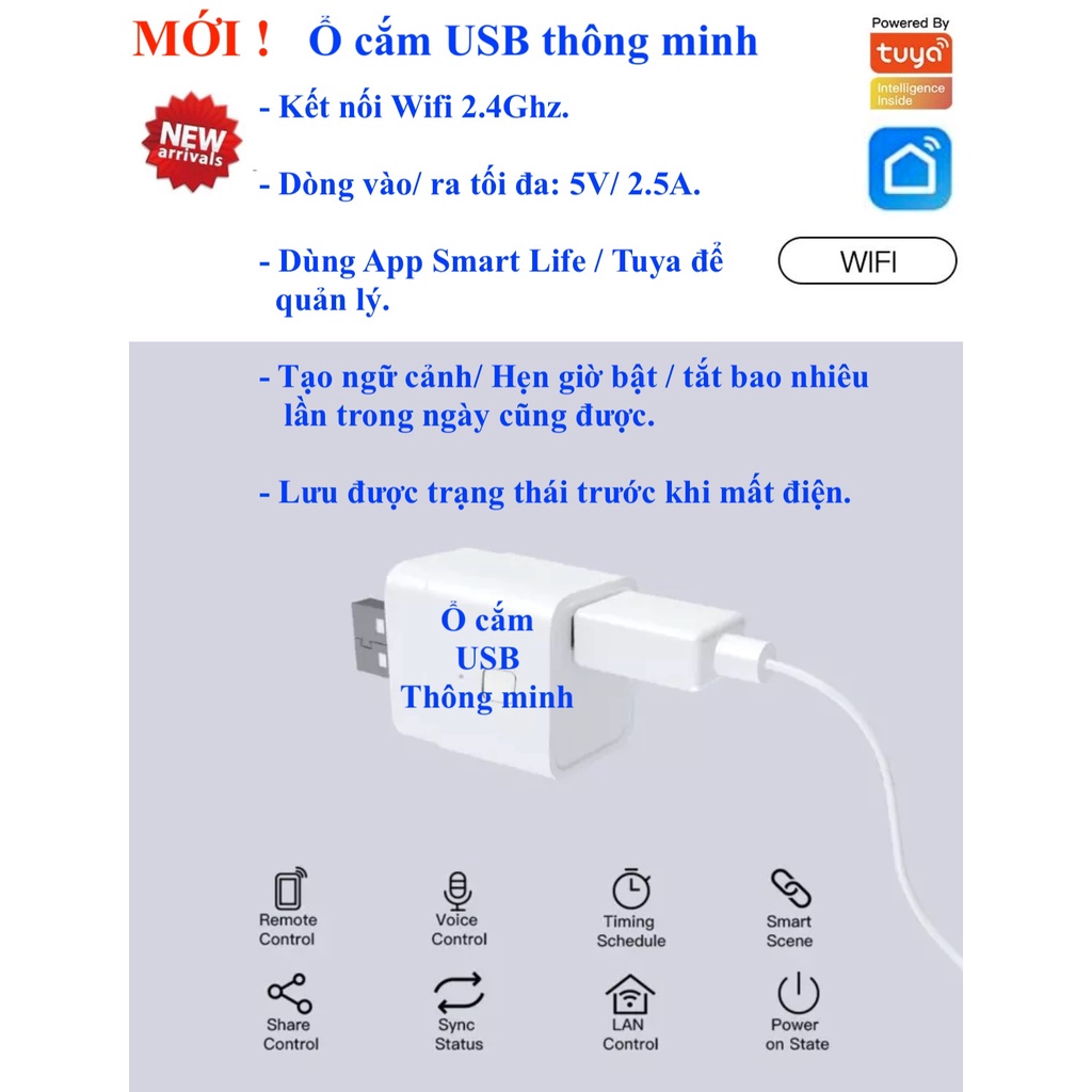 Ổ cắm Thông minh, Kết nối Wifi, Hẹn giờ Bật Tắt, Đo Công suất tiêu thụ 10A/16A, Hệ Tuya/Smart Life