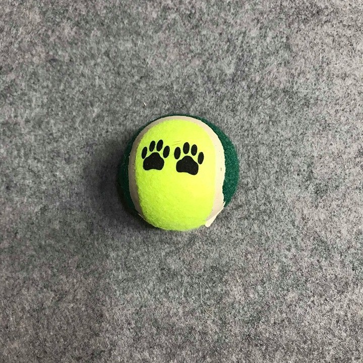 Đồ chơi cho chó bóng tenis