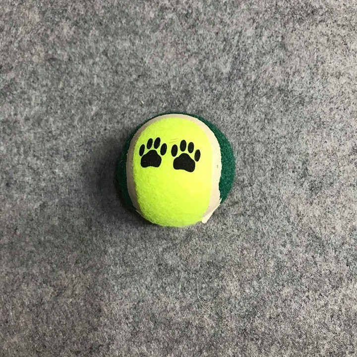 Đồ chơi cho chó bóng tenis