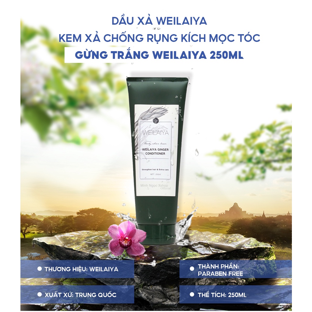 Dầu xả gừng trắng WEILAIYA GINGER CONDITONER chống rụng kích mọc tóc 250ml