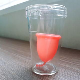 Cốc nguyệt san Si-bell