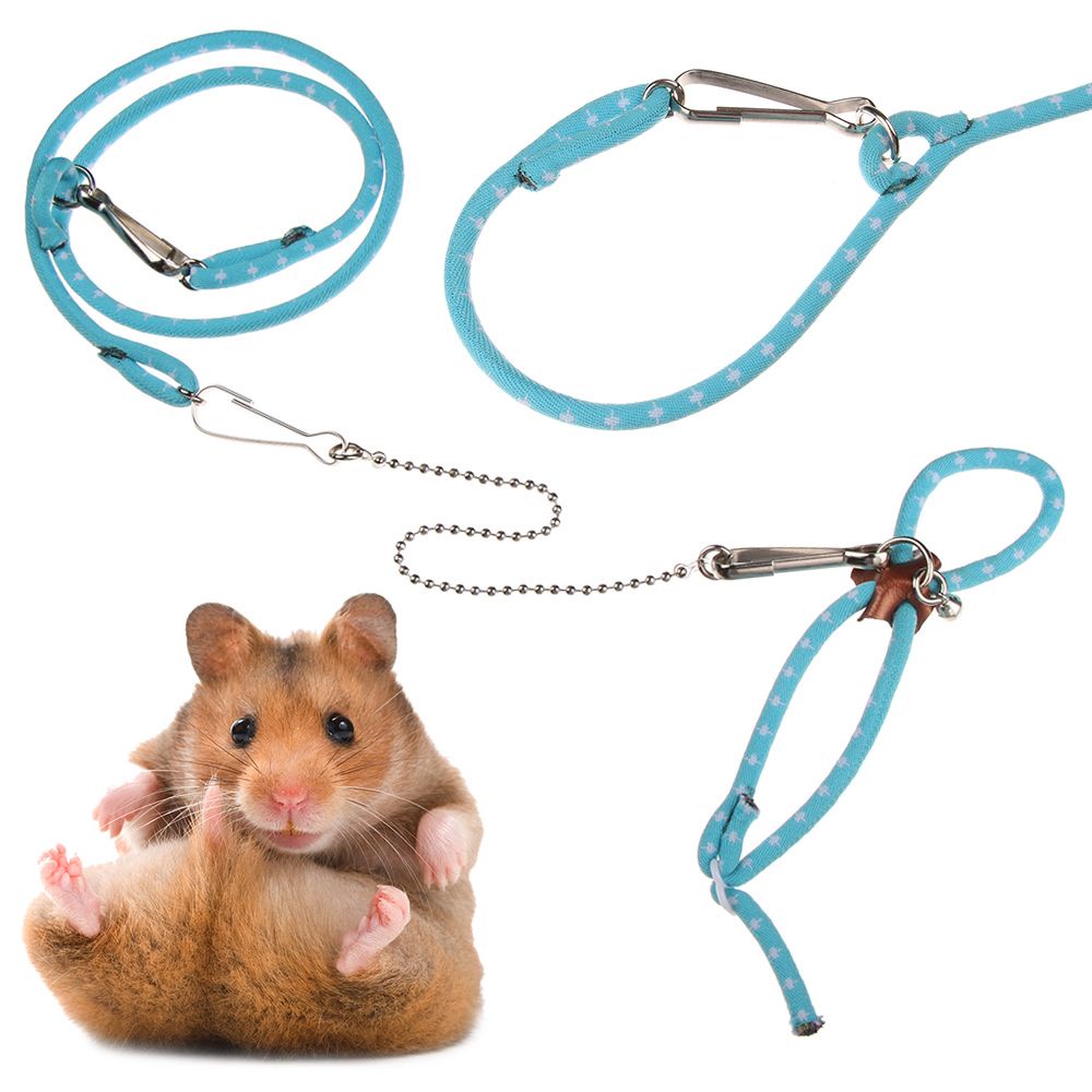 Dây dắt thú cưng đi dạo bằng nylon mềm mại có thể điều chỉnh nhiều màu