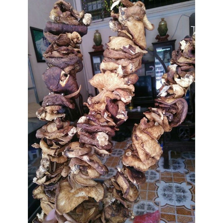 1kg nấm hương rừng đặc sản Tây Bắc