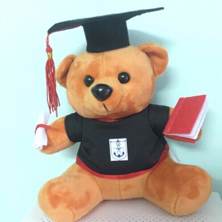 Gấu bông tốt nghiệp size 30cm hàng loại 1