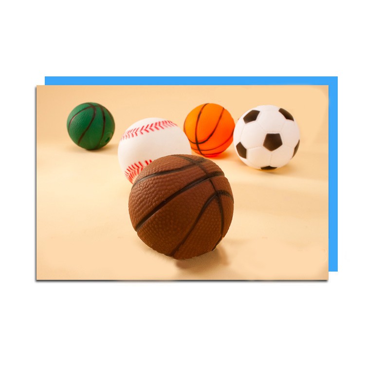 Đồ Chơi Bóng Rổ Nhỏ Mài Xương Tiêu Chuẩn Cho Thú Cưng