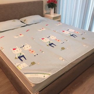 Chiếu lụa điều hòa 2*2,2m