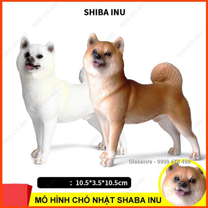 Mô Hình Chó Nhật Bản Shiba Inu Size Trung - 7664.9
