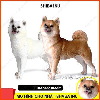 Mô Hình Chó Nhật Bản Shiba Inu Size Trung - 7664.9