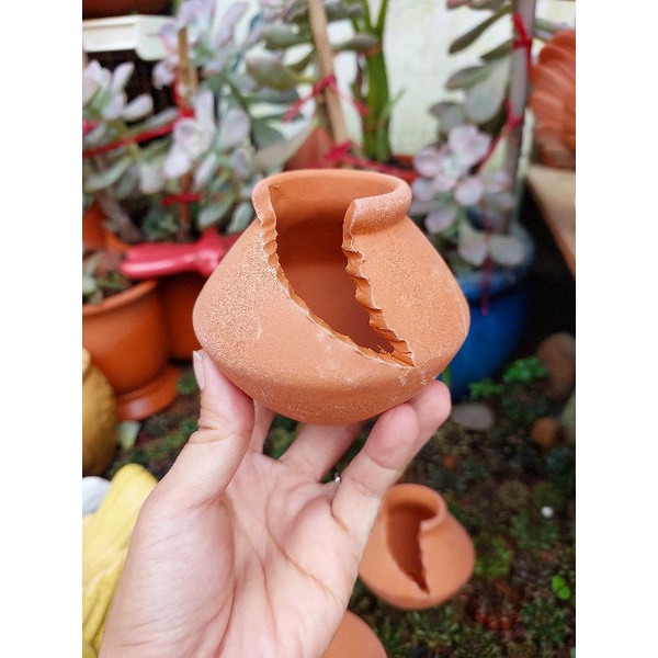 Chậu đất nung - chậu xẻ cana mini