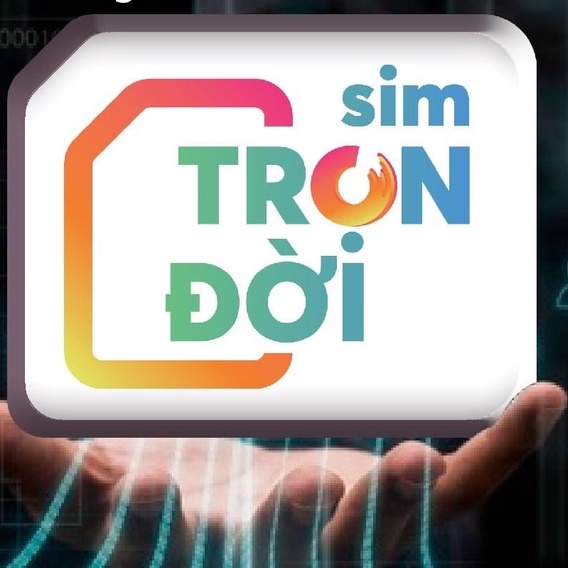 Sim 4G Trọn Gói 1 Năm V500 D500/6UMAX4G/12UMAX50N Data Không giới hạn, Vinaphone A50S A68S A89E WIN89 WIN60 V120Z V120N