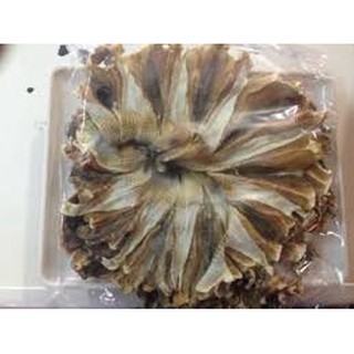 500gram KHÔ CÁ ĐUỐI LOẠI NGON