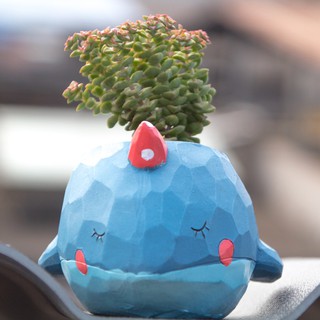 Chậu cây Thú mini