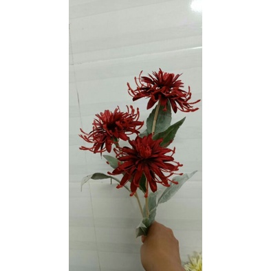 Hoa Bỉ Ngạn hàng tàu loại 1 thân mốc Hoa Giả Trang Trí Decor